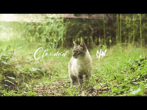 CHN - Claridad ( Prod DoorEm ) x Berna Du4