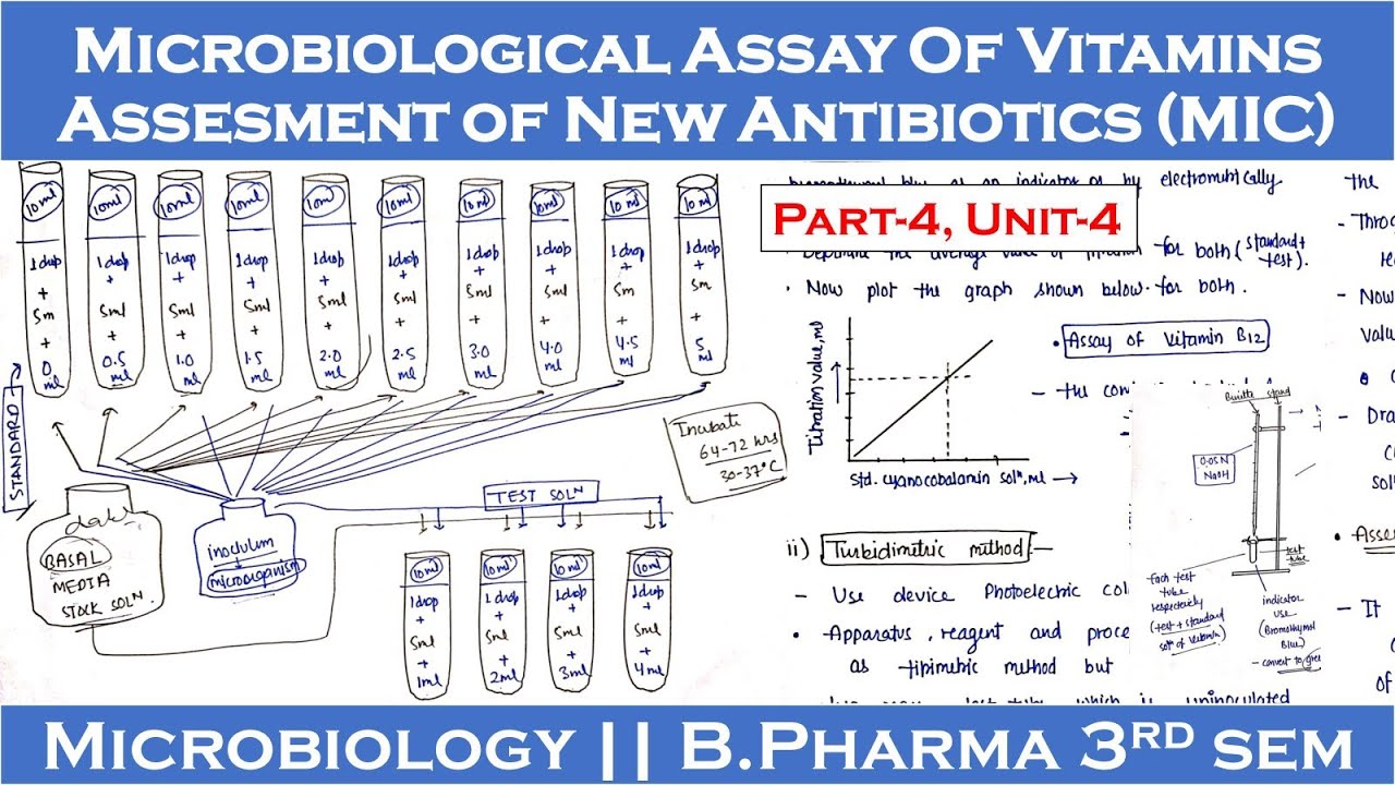 Microbiological assay of vitamins | Assessment of a new antibiotic | Part-4, Unit-4 | Microbiology