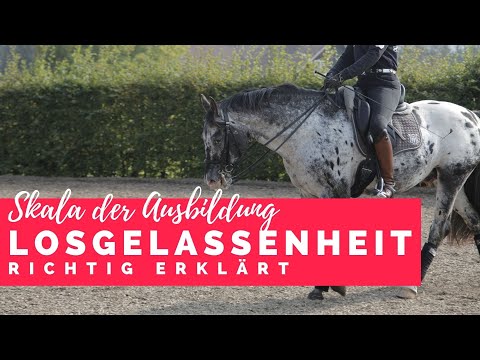Die Losgelassenheit | Skala der Ausbildung mit Sabine Ellinger