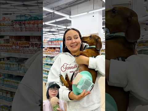 Đi tìm bô cho Dogi #trending #trendingshorts #trendingvideo #shorts #shortsviral #viralshorts