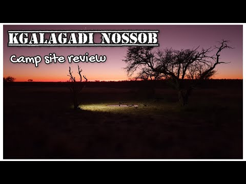 Nossob: Kgalagadi Camp site review, what to expect, sightings, adventures, stories and favorite bits