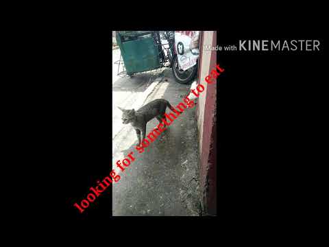 Water is life for Kirat