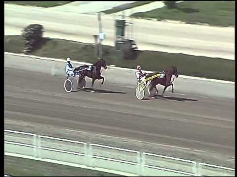 Trotto 02/04/2015 - prova di qualifica