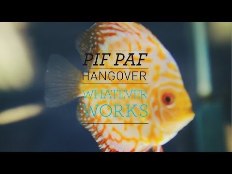 PIF PAF HANGOVER ||| WHATEVER WORKS