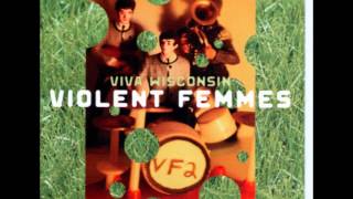 Violent Femmes - Life Is An Adventure (live: Viva Wisconsin)