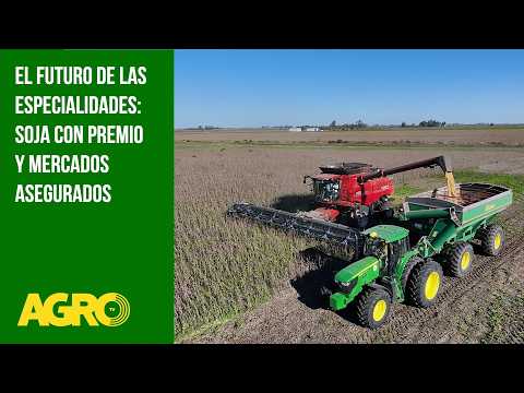 El futuro de las especialidades: Soja con premio y mercados asegurados