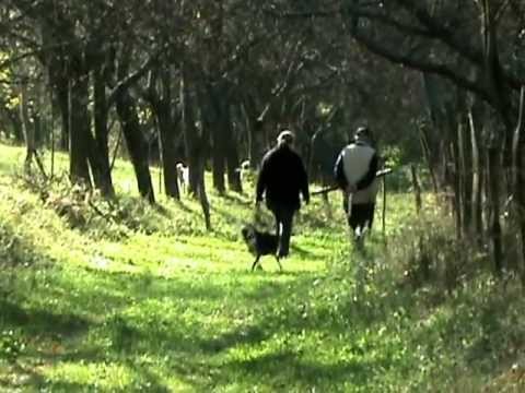 Pria, judeţul Sălaj  - Spre Cărbunar