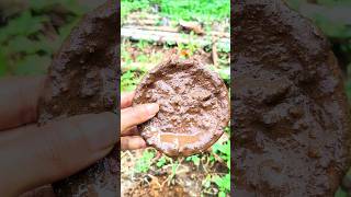 Download lagu 🍓🎨🍇kalau kau suka tepuk tangan ✋🖐👋 #shorts #satisfying #comedy #cutebabyfunny #fypシ゚viral mp3