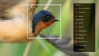 What's NEW in Topaz Photo AI 4