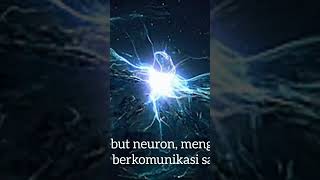 Download lagu gelombang otak dalam Islam mp3