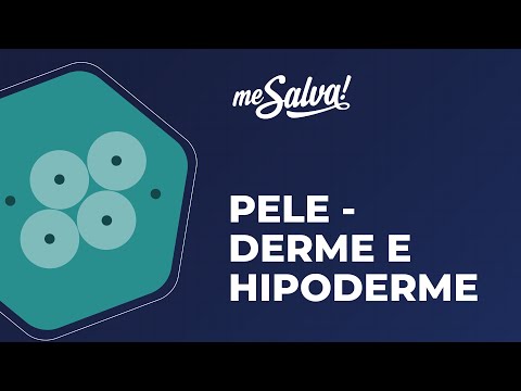 Pele – Derme e Hipoderme - Histologia Humana - Me Salva! Saúde