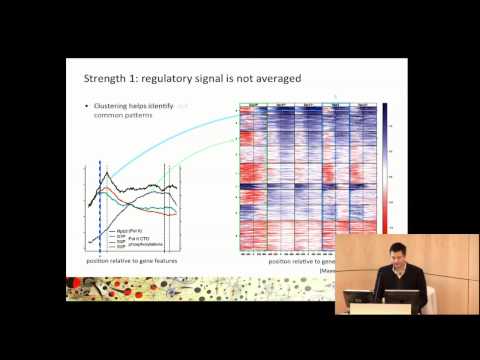 Nicholas Luscombe: Visualizing Gene Regulatory Networks