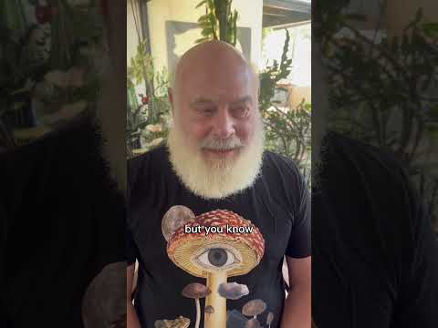 Magic Mushrooms  #mushroomidentification