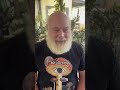 Magic Mushrooms Mushroomidentification
