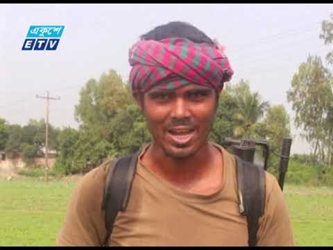 মুন্সীগঞ্জে শীতকালীন সবজির বাম্পার ফলন | ETV News