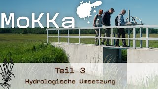 Wie geht Moorwiedernässung? –Teil 3