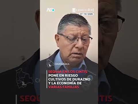 Sequía en Los Cintis pone en riesgo cultivos de durazno y la economía de varias familias