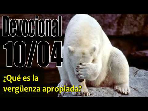 ¿Qué es la vergüenza apropiada?. Devocional John Piper Solid Joys 10/04