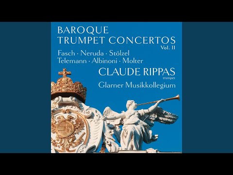 Concerto in D-Dur: Allegro