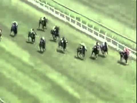 20100925 IPOH CLASS 5 1400M (SC) - ROOK (M Leong)