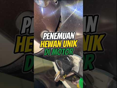 pantes aja agak berat