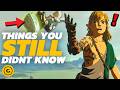 42 Things You Didn't Know In Zelda Tears Of The Kingdom