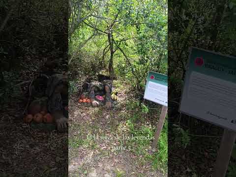 EN LA SELVA DE LAS LEYENDAS MERCEDES CORRIENTES 🙌 PARTE 5 #viral #viralvideo #video #shorts #parati