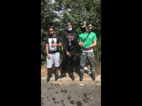 Jv x RondoMontana x Kursedatt - sjo