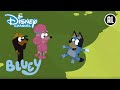 Bluey | ? Avonturen in Schaduwland | Disney Channel NL