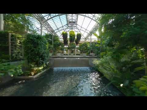 Fly Through the Conservatory: A Drone View of our 2020 Summer Display