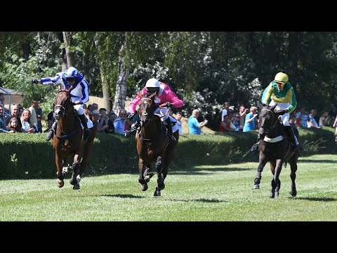 ŽIVĚ 🔴 | dostihy Lysá nad Labem – 1. 5. 2025
