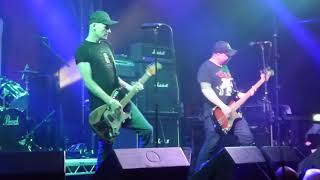 The Queers  - I Can't Stop Farting /Night of the Livid Queers