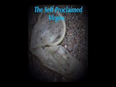 The Self Proclaimed Virgins: We Are The Virgins