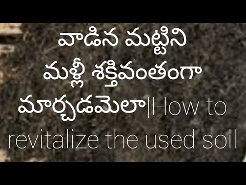 177-How To Revitalize The Used Soil Again For Better Results