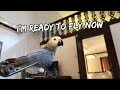My Bird Learned To Fly Vlog 255