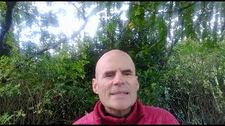 The Power of Yoga Practice for Everyday Living