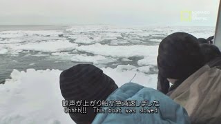 preview picture of video '冬の網走→知床 流氷を巡る観光 -Abashiri to Shiretoko, Drift ice-'