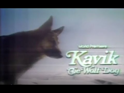 Thumbnail of the video: 1980 NBC promo The Courage of Kavik, the Wolf Dog