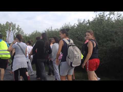 Pelerini Maria Radna