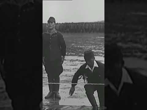 How Japanese Soldiers Surrendered in World War II #japan #ww2 #surrender