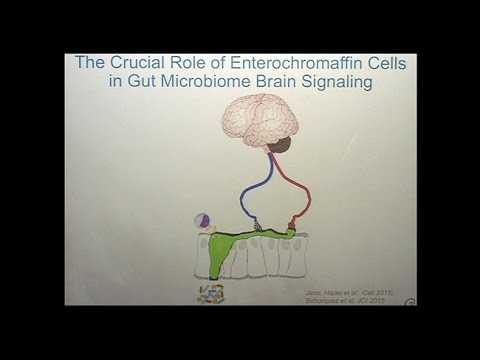 Microbiome and the Brain Interactions