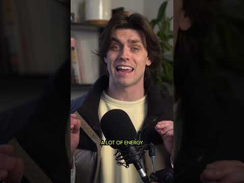 Jack Russell Terrier - What's This Dog? #jackrussellterrier #dogs