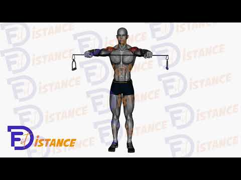 Exercice Tirage posture avec bande de résistance