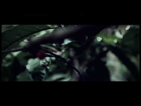 Dialog senja - Lara (Puisi Wira Nagara)