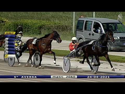 Aversa trotto 24 Aprile 2021 - 5° Corsa
