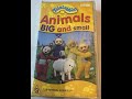 Opening To Teletubbies Animals Big And Small 2001 VHS Australia