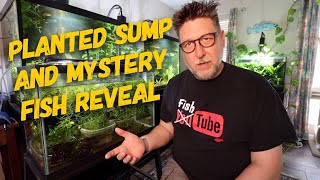 Plant Dat Sump
