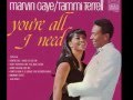 MARVIN GAYE & TAMMI TERRELL-I'm your ...