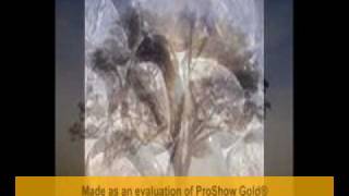 tercer cielo oh nena.mpg