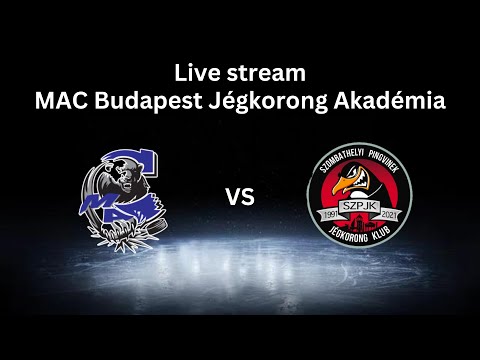 U14 212 | MAC Budapest B - Szombathelyi Pingvinek | 2023.11.18.